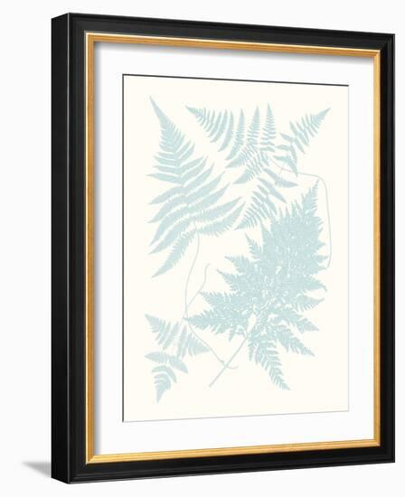 Serene Ferns IV-Vision Studio-Framed Art Print