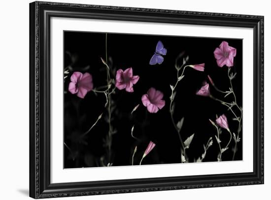 Serene Flutter-Wild Wonders of Europe-Framed Giclee Print