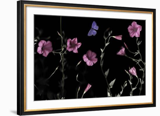 Serene Flutter-Wild Wonders of Europe-Framed Giclee Print