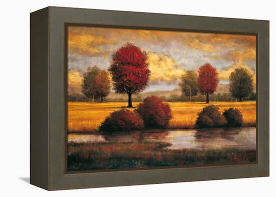 Serene II-Gregory Williams-Framed Stretched Canvas