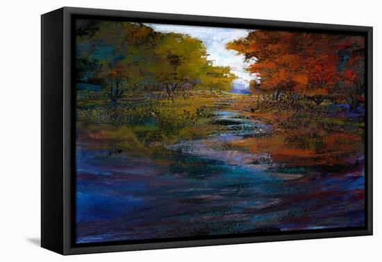 Serene Journey I-Michael Tienhaara-Framed Stretched Canvas