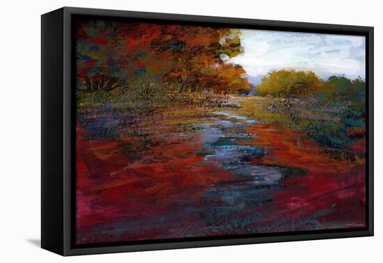 Serene Journey IV-Michael Tienhaara-Framed Stretched Canvas