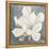 Serene Magnolia Gray-Julia Purinton-Framed Premier Image Canvas