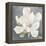 Serene Magnolia Gray-Julia Purinton-Framed Premier Image Canvas