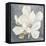 Serene Magnolia Gray-Julia Purinton-Framed Premier Image Canvas