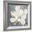 Serene Magnolia Gray-Julia Purinton-Framed Photographic Print