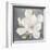 Serene Magnolia Gray-Julia Purinton-Framed Art Print