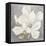 Serene Magnolia Light Gray-Julia Purinton-Framed Stretched Canvas