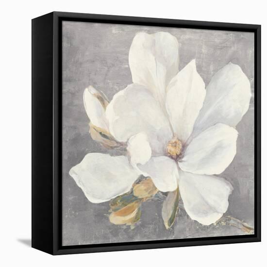 Serene Magnolia Light Gray-Julia Purinton-Framed Stretched Canvas