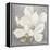 Serene Magnolia Light Gray-Julia Purinton-Framed Stretched Canvas