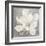 Serene Magnolia Light Gray-Julia Purinton-Framed Art Print