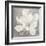 Serene Magnolia Light Gray-Julia Purinton-Framed Art Print