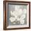 Serene Magnolia Light Gray-Julia Purinton-Framed Art Print