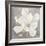 Serene Magnolia Light Gray-Julia Purinton-Framed Art Print