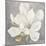 Serene Magnolia Light Gray-Julia Purinton-Mounted Art Print