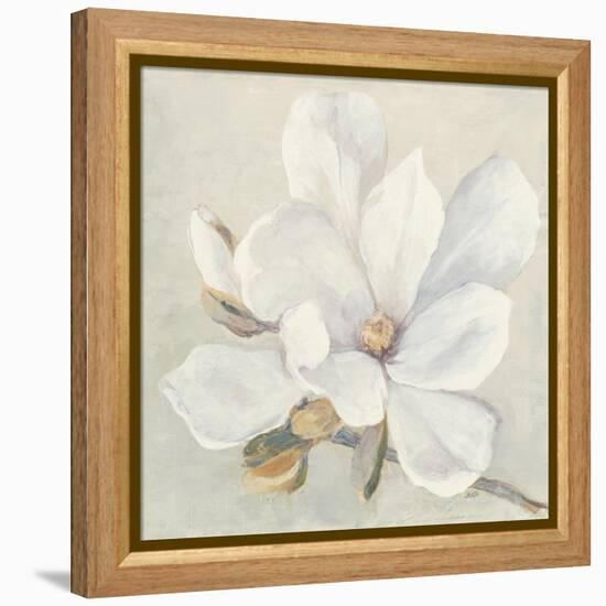 Serene Magnolia-Julia Purinton-Framed Stretched Canvas