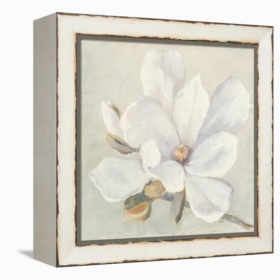 Serene Magnolia-Julia Purinton-Framed Stretched Canvas