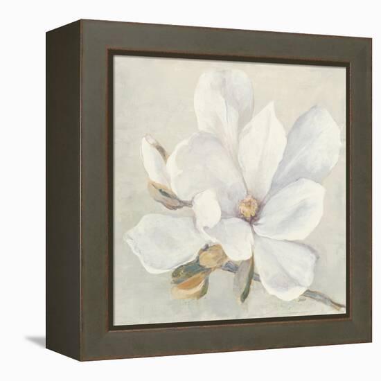 Serene Magnolia-Julia Purinton-Framed Stretched Canvas