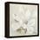 Serene Magnolia-Julia Purinton-Framed Stretched Canvas