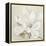 Serene Magnolia-Julia Purinton-Framed Stretched Canvas