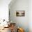 Serene Moment-Simon Addyman-Mounted Premium Giclee Print displayed on a wall