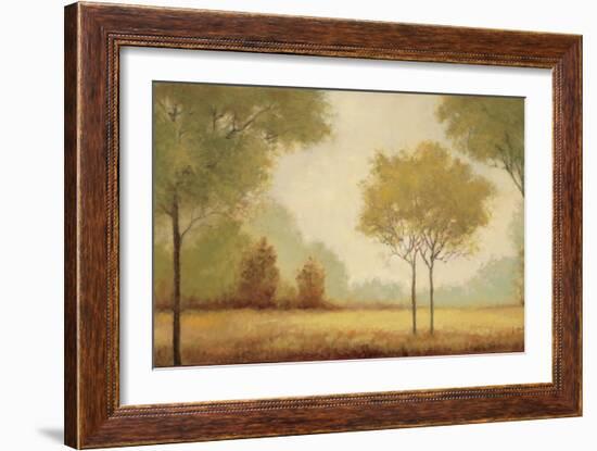 Serene Panorama-Jill Schultz McGannon-Framed Art Print