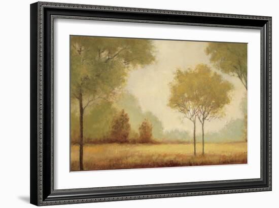 Serene Panorama-Jill Schultz McGannon-Framed Art Print