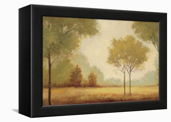 Serene Panorama-Jill Schultz McGannon-Framed Stretched Canvas