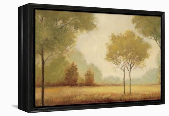 Serene Panorama-Jill Schultz McGannon-Framed Stretched Canvas