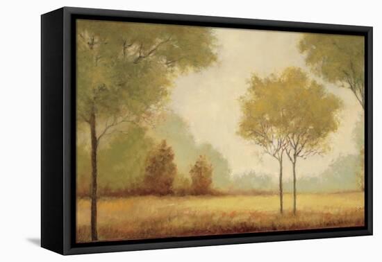 Serene Panorama-Jill Schultz McGannon-Framed Stretched Canvas