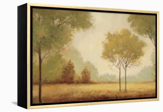 Serene Panorama-Jill Schultz McGannon-Framed Stretched Canvas