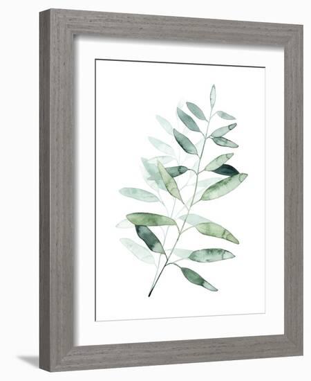 Serene Reed II-Grace Popp-Framed Art Print