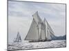 Serene Sail-Ben Wood-Mounted Giclee Print