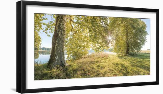 Serene Scene-Assaf Frank-Framed Giclee Print