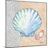 Serene Seashells I-Paul Brent-Mounted Art Print