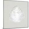 Serene Shells I Tan-James Wiens-Mounted Art Print