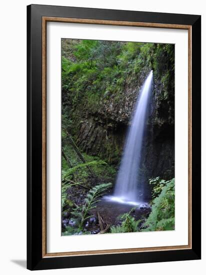 Serene Waterfall-Logan Thomas-Framed Photographic Print