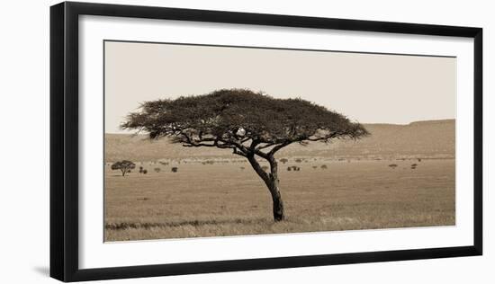 Serengeti Horizons I-Jeff/Boyce Maihara/Watt-Framed Giclee Print