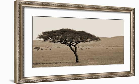 Serengeti Horizons I-Jeff/Boyce Maihara/Watt-Framed Giclee Print