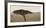 Serengeti Horizons I-Jeff/Boyce Maihara/Watt-Framed Giclee Print