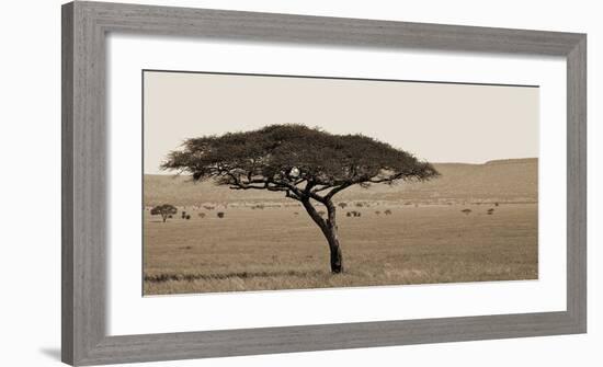 Serengeti Horizons I-Jeff/Boyce Maihara/Watt-Framed Giclee Print