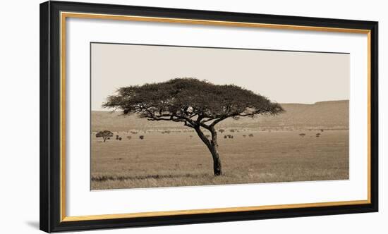 Serengeti Horizons I-Jeff/Boyce Maihara/Watt-Framed Giclee Print