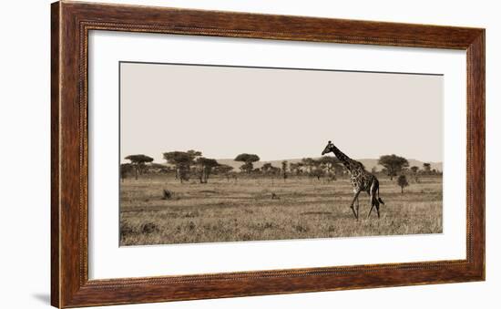 Serengeti Horizons II-Jeff/Boyce Maihara/Watt-Framed Giclee Print