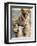 Serengeti Lioness-Kalon Baughan-Framed Art Print