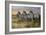 Serengeti Sunset-Trevor V. Swanson-Framed Giclee Print