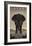 Serengeti-Steve Forney-Framed Giclee Print