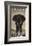 Serengeti-Steve Forney-Framed Art Print