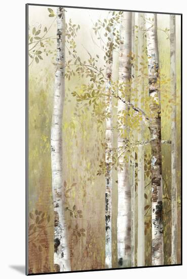 Serenity Birch-Allison Pearce-Mounted Art Print