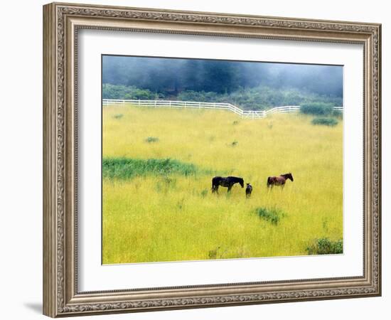 Serenity, California ‘86-Monte Nagler-Framed Photographic Print