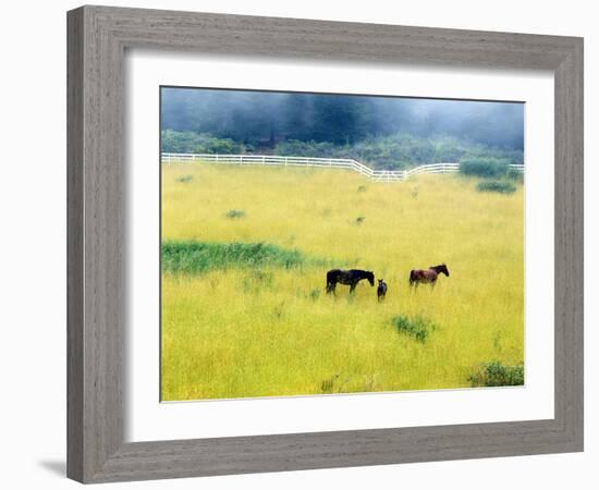 Serenity, California ‘86-Monte Nagler-Framed Photographic Print